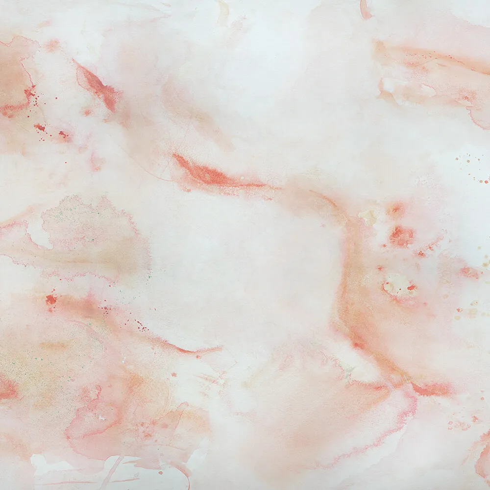 Wall Art – Wallpaper Coral 3D Model