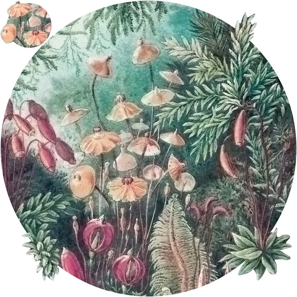 Wall Art – Wallpaper Fairytale round 3D Model Wall Art – Wallpaper Fairytale round 3D Model