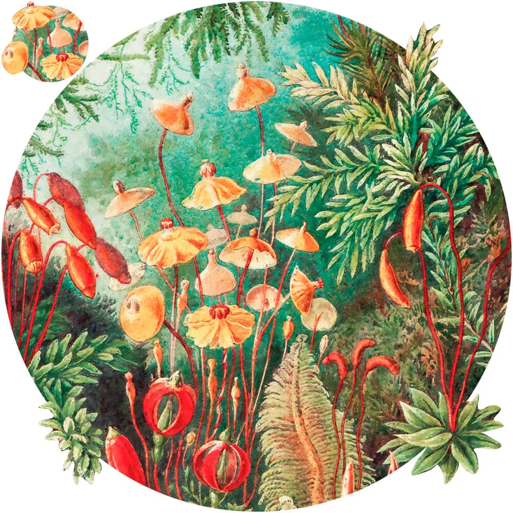 Wall Art – Wallpaper Fairytale Vivid round 3D Model Wall Art – Wallpaper Fairytale Vivid round 3D Model