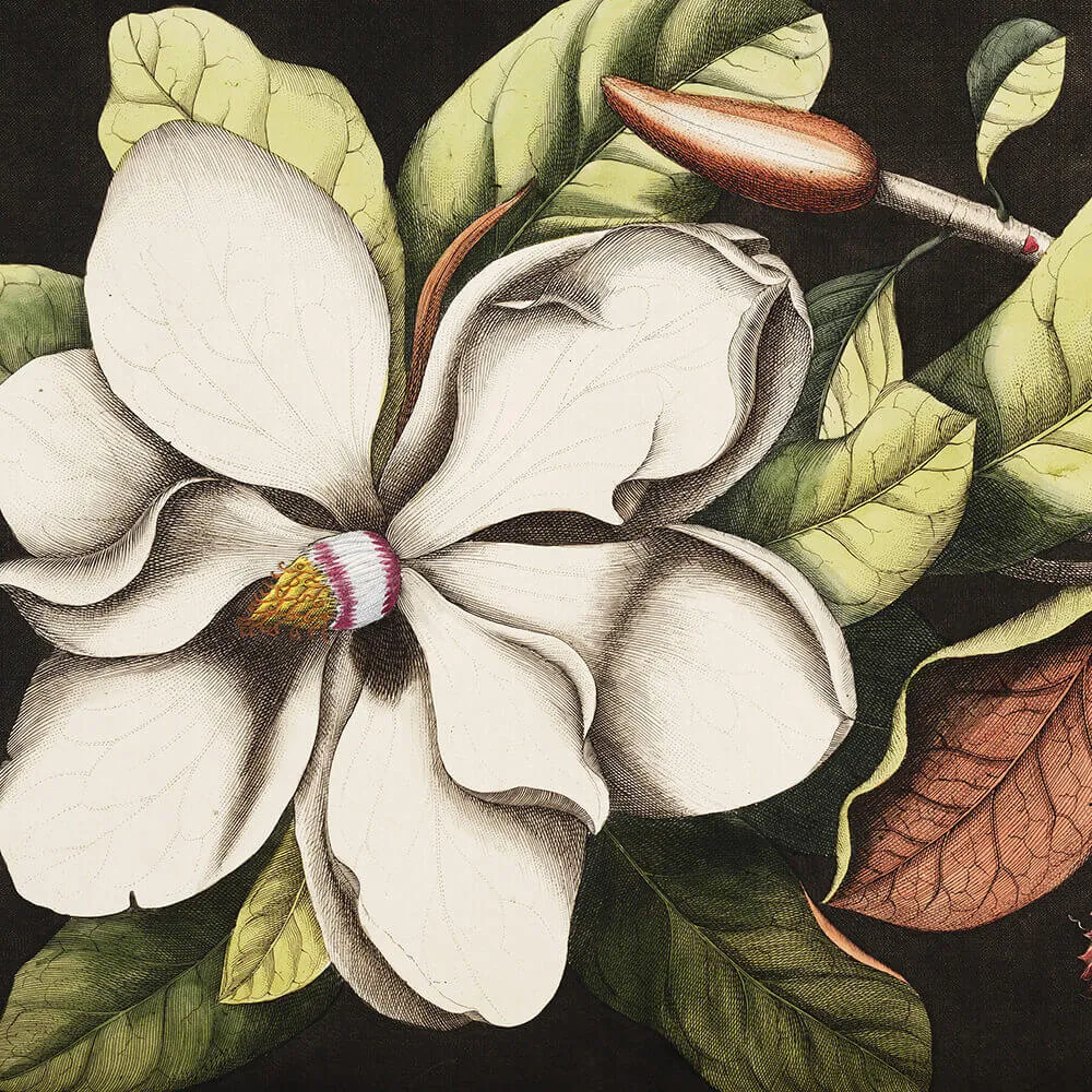 Wall Art – Wallpaper Laurel 3D Model Wall Art – Wallpaper Laurel 3D Model