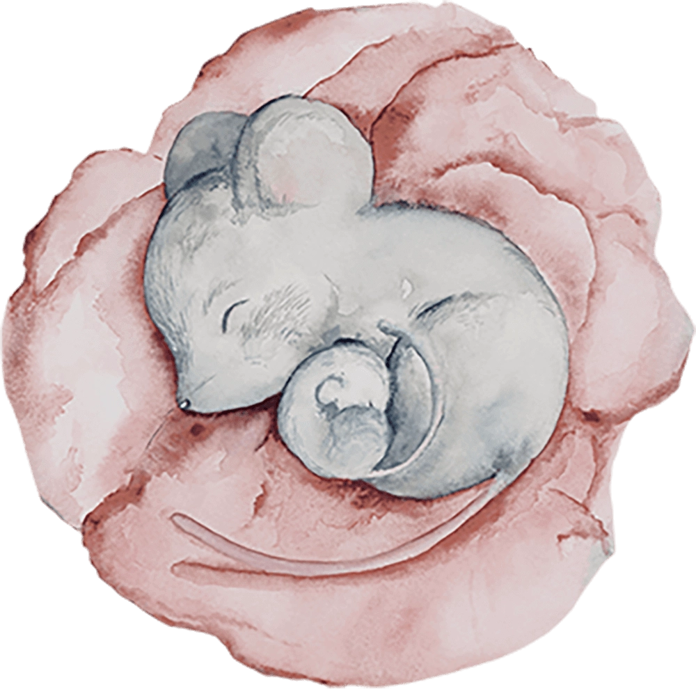 Wall Art – Wallpaper Little Nap round 3D Model Wall Art – Wallpaper Little Nap round 3D Model