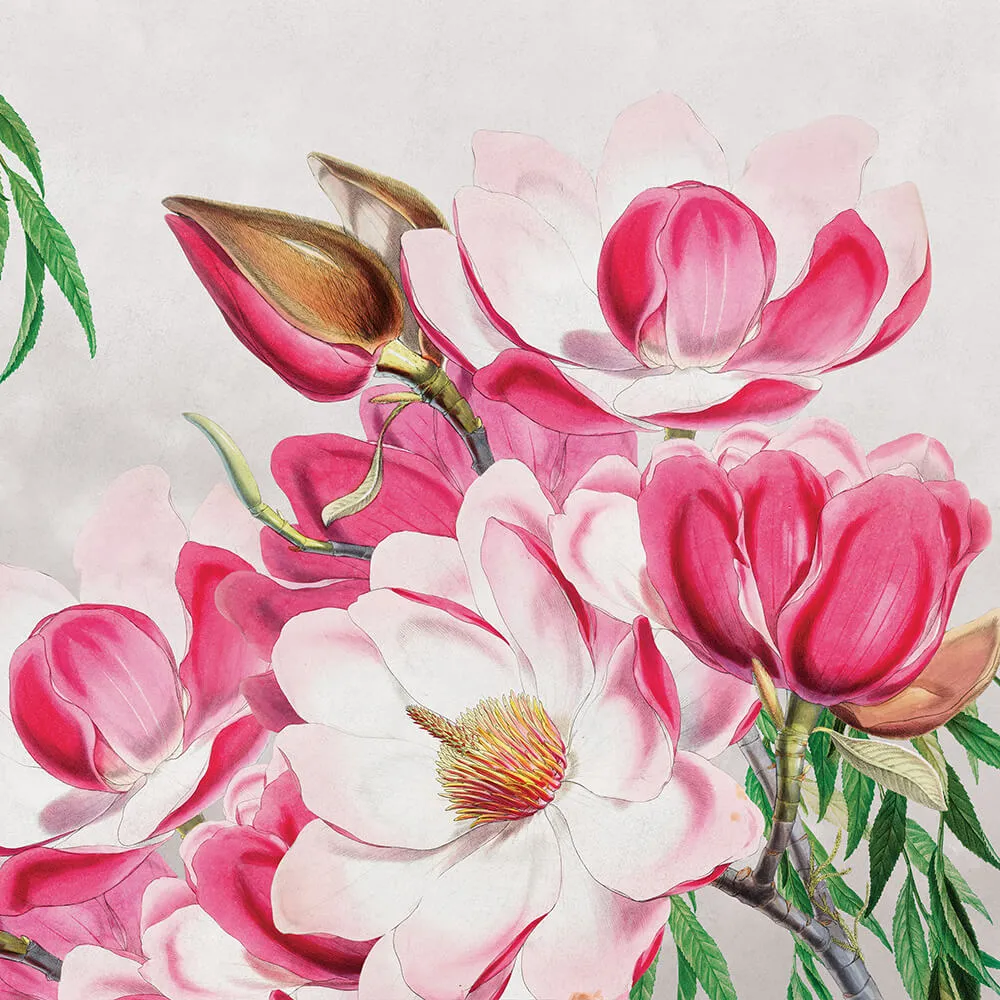 Wall Art – Wallpaper Magnolia 3D Model Wall Art – Wallpaper Magnolia 3D Model