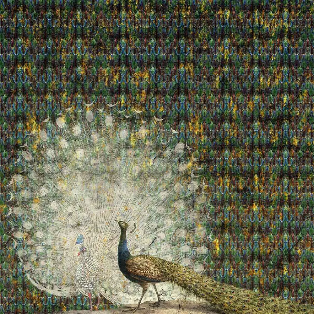 Wall Art – Wallpaper Peacock 3D Model Wall Art – Wallpaper Peacock 3D Model