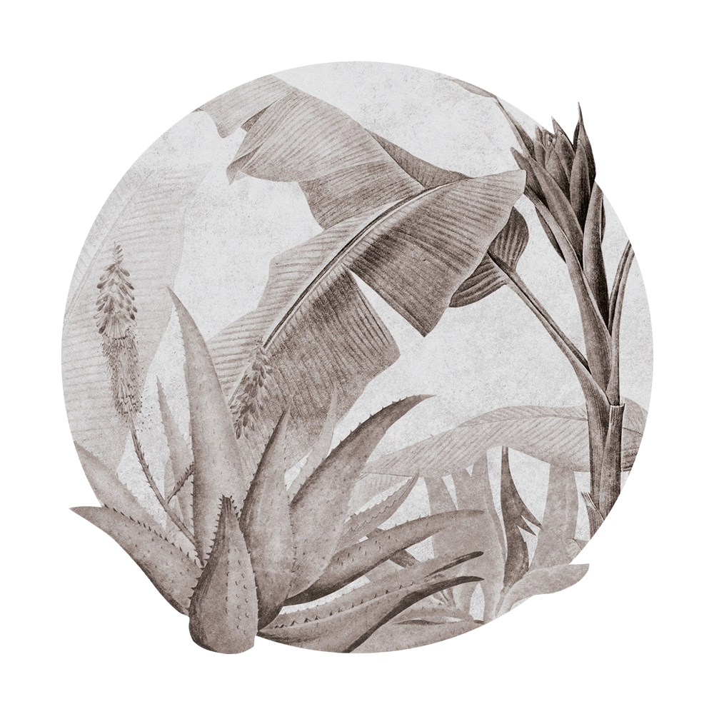 Wall Art – Wallpaper Rainforest Beige round 3D Model