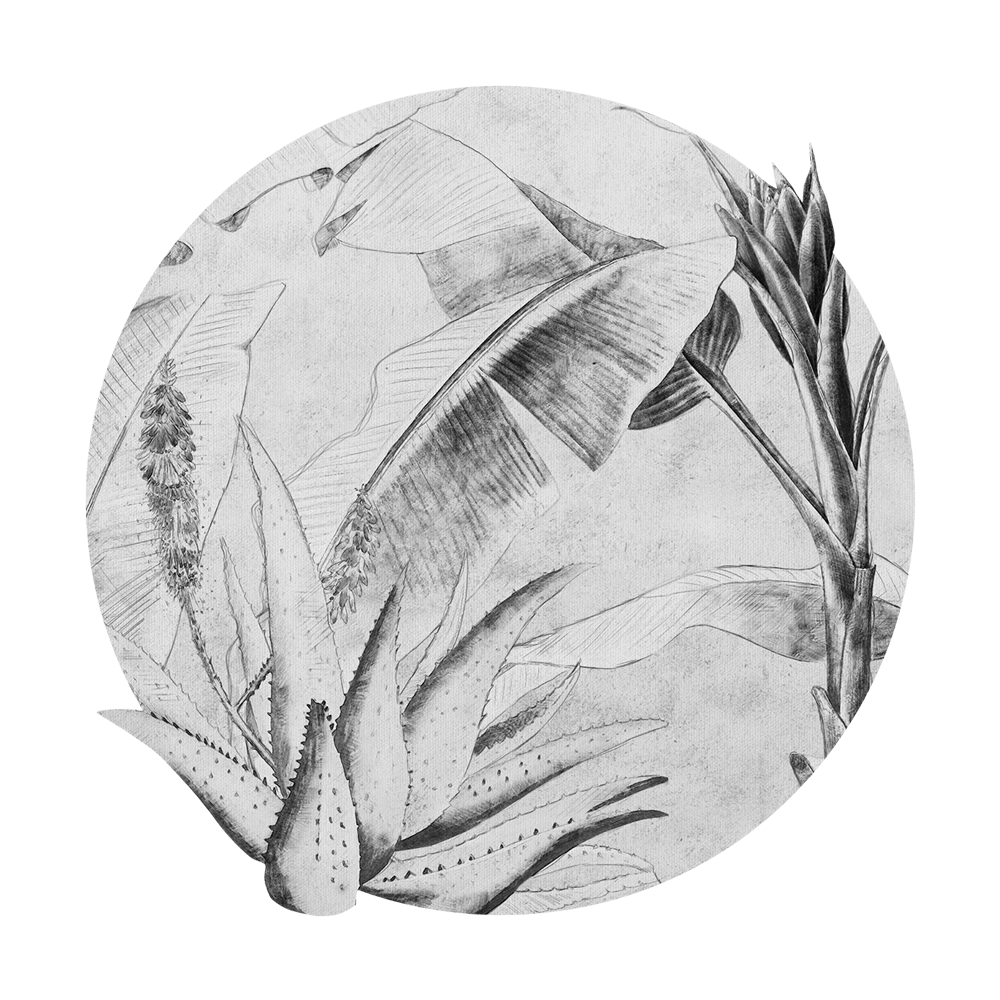 Wall Art – Wallpaper Rainforest Sketch round 3D Model