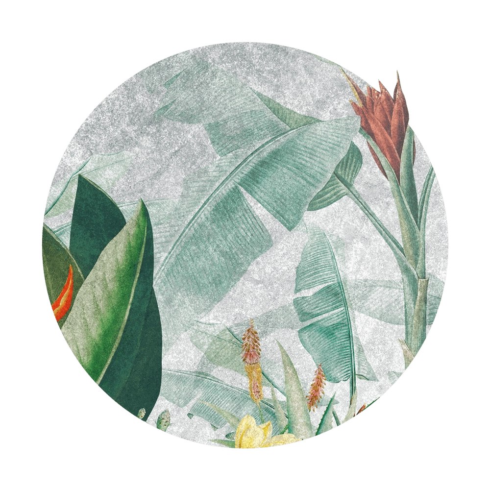 Wall Art – Wallpaper Rainforest Vivid round 3D Model