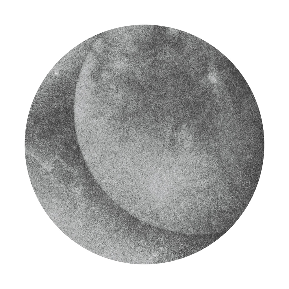 Wall Art – Wallpaper Tsuki round 3D Model