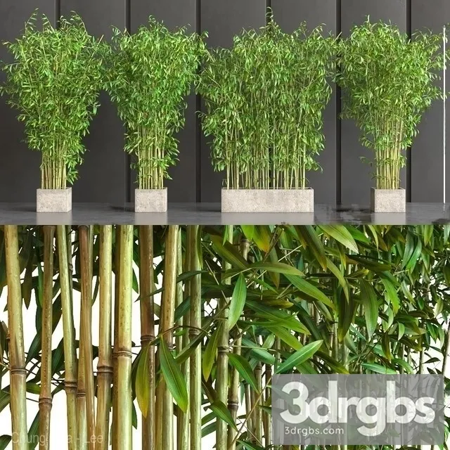 Wall Bamboo Set 3D Model Download