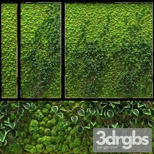 Wall Fito 3D Model Download