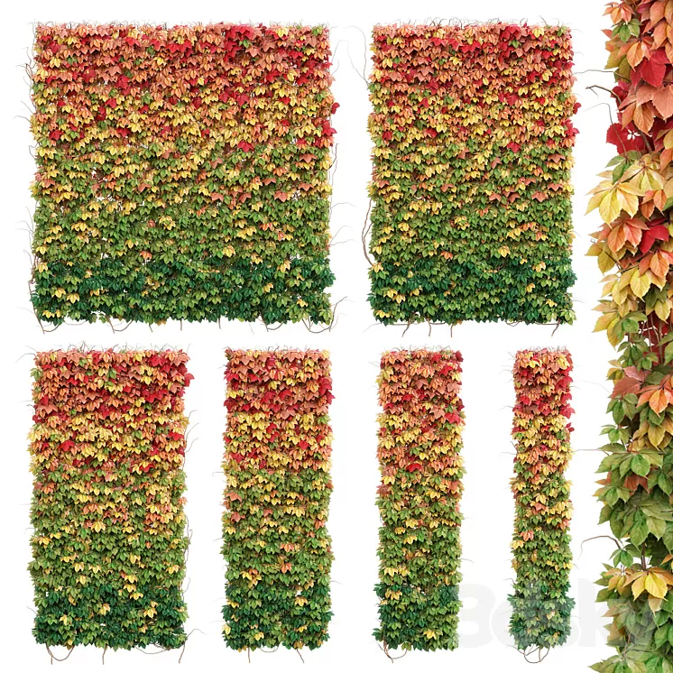 Wall from autumn leaves. Set of 6 models 3D Model