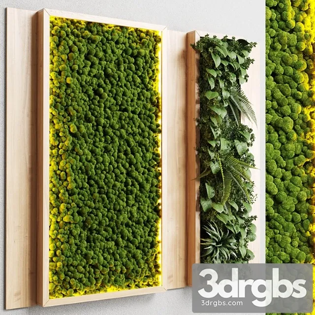 Wall garden and vertical moss in wooden frame 22 Wall garden and vertical moss in wooden frame 22