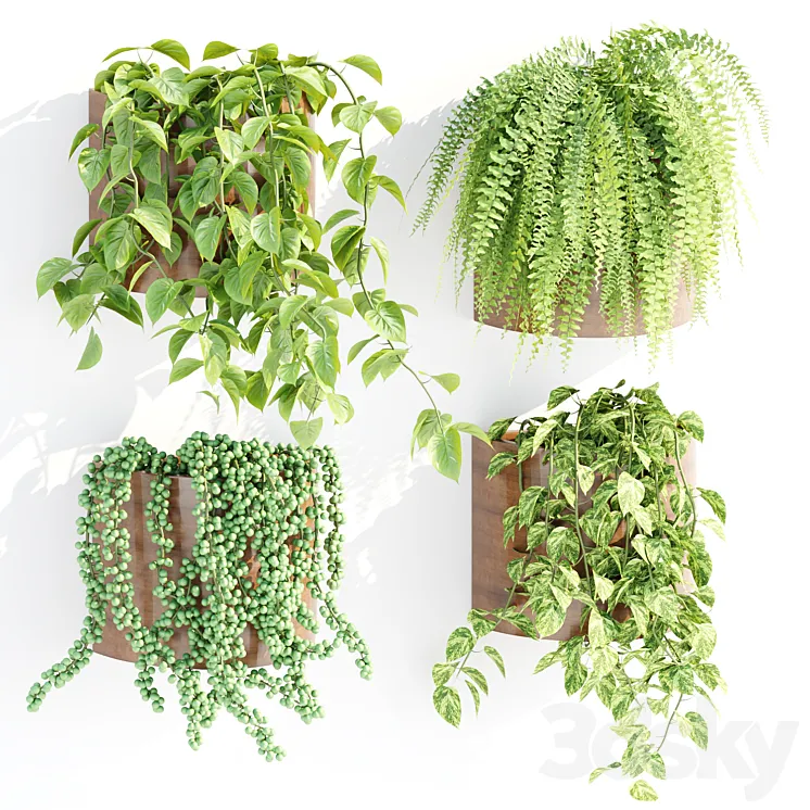 Wall hanging plants collection vol 206 3D Model Free Download