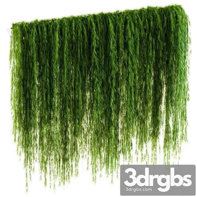 Wall of Hanging Plant Branches 3D Model Download