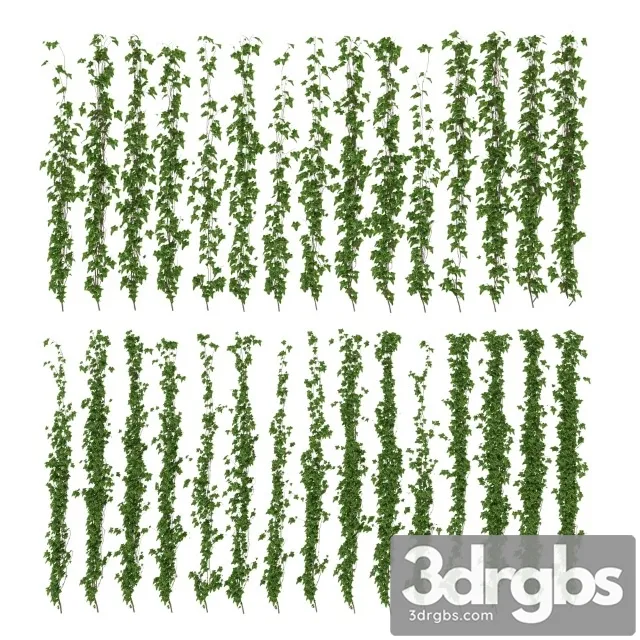 Wall Of Ivy Leaves 3D Model Download