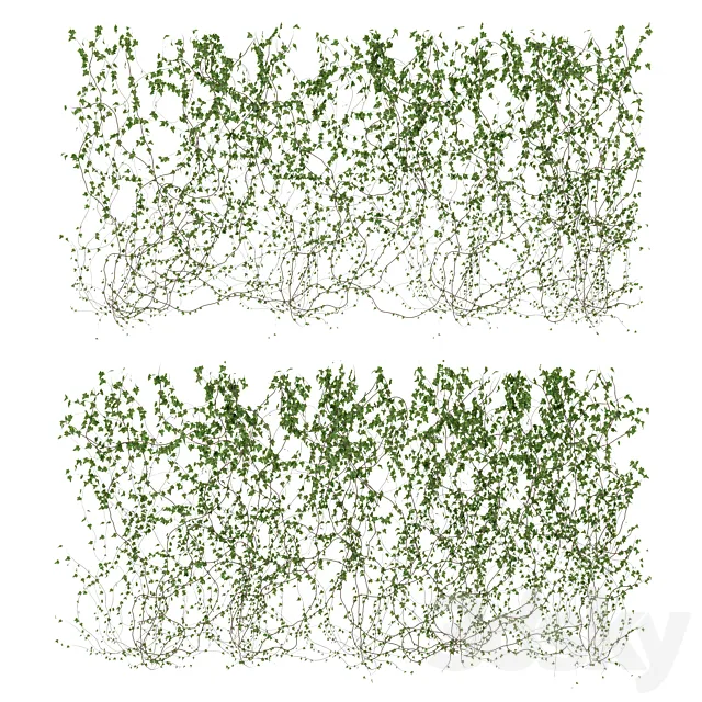 Wall of ivy leaves v3 3DModel