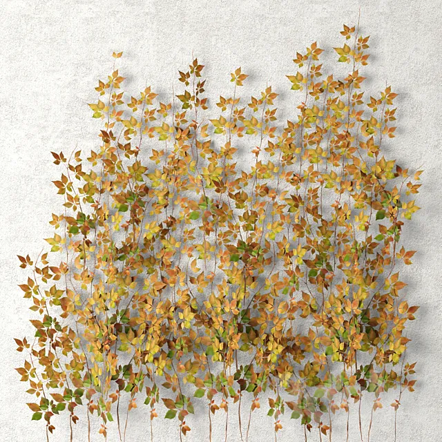 Wall of leaves hanging plants leaf autumn vine leaves 3D Model Wall of leaves hanging plants leaf autumn vine leaves 3D Model