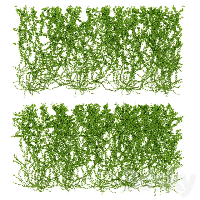Wall of wild grapes leaves. 2 products 3D Model
