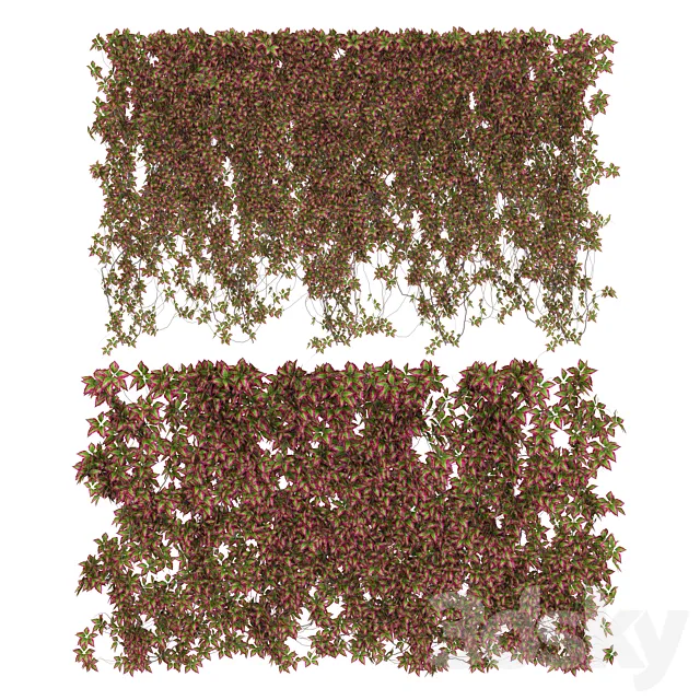 Wall of wild grapes leaves v3 3DModel Wall of wild grapes leaves v3 3DModel