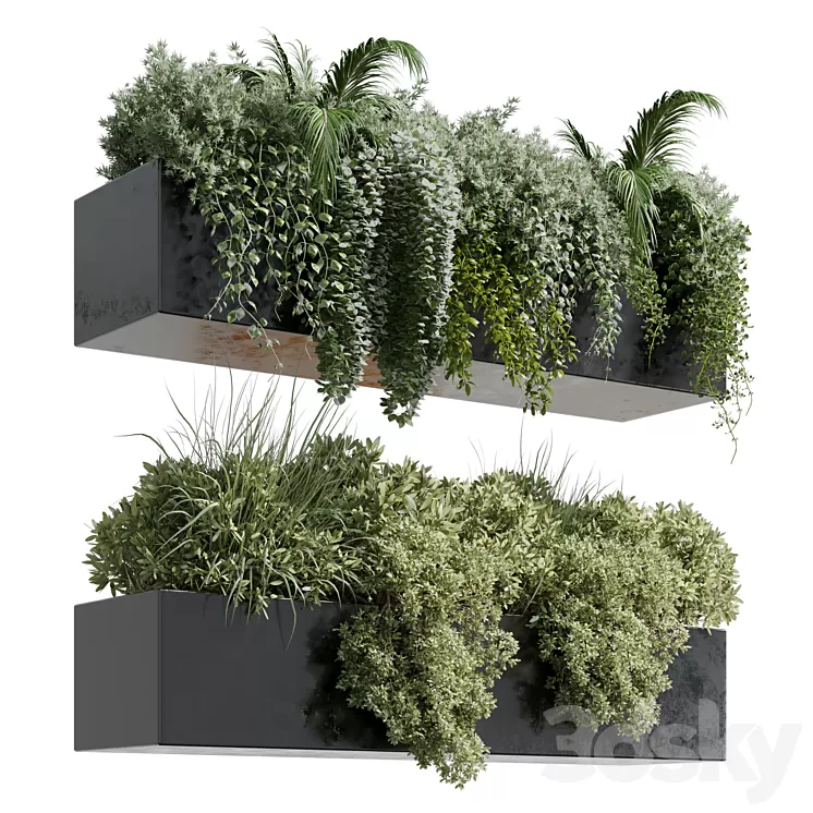 wall plant – hanging plants collection Indoor plant 219 3D Model