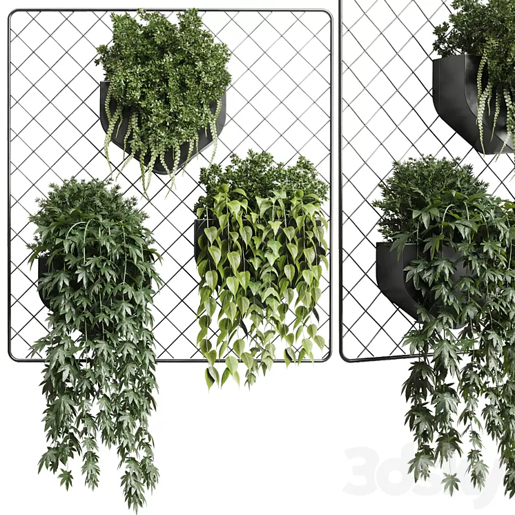 wall plant – hanging plants collection Indoor plant 293 metal dirt vase 3D Model Free Download wall plant – hanging plants collection Indoor plant 293 metal dirt vase 3D Model Free Download