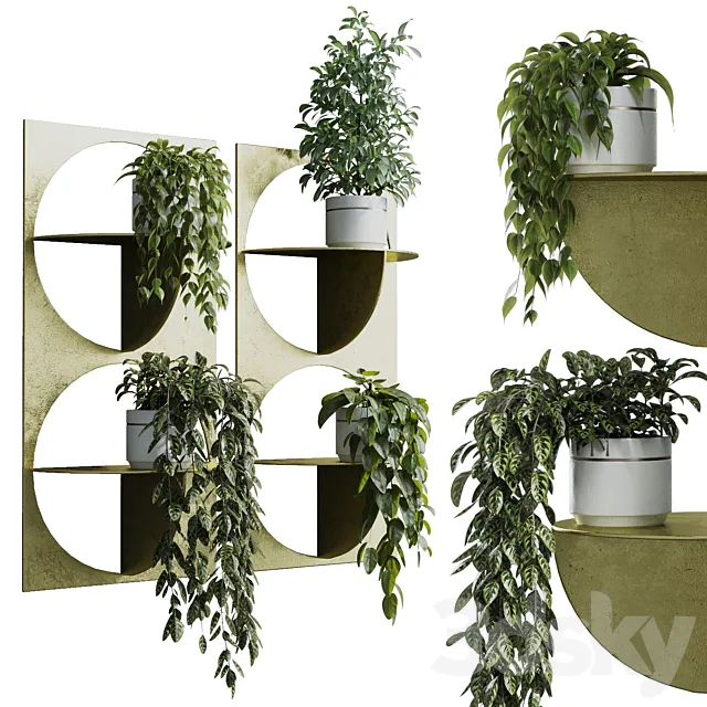 wall plant – set Indoor plant 365 plants in on a shelf 3D Model