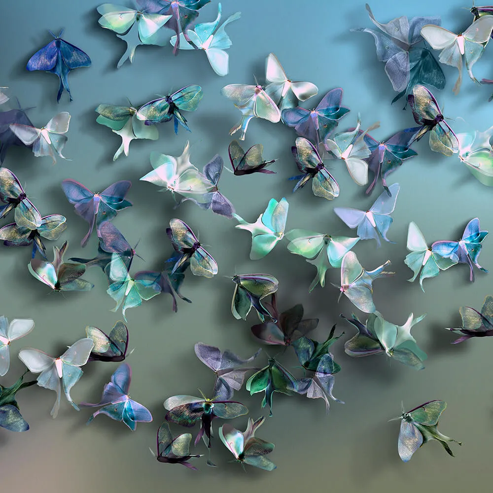 Wall Street – Wallpaper FarFalle 3D Model Wall Street – Wallpaper FarFalle 3D Model