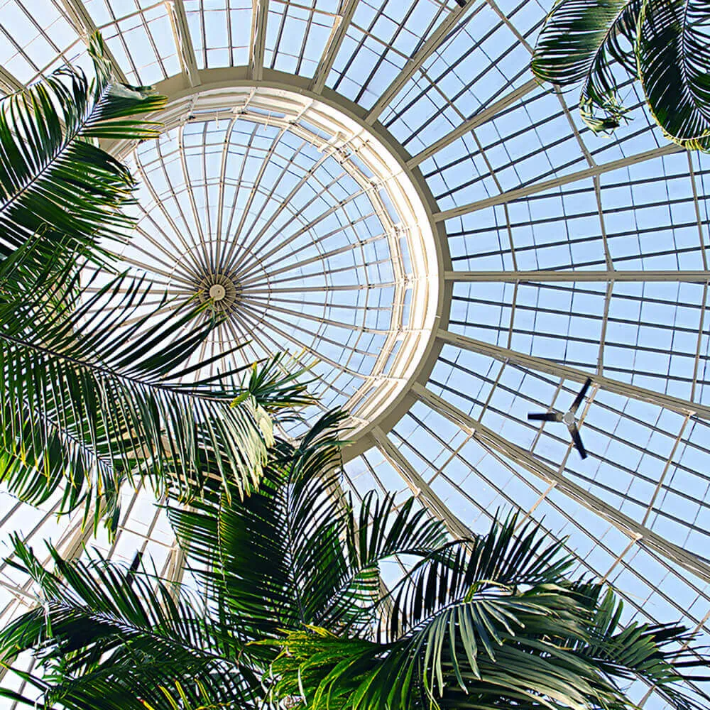 Wall Street – Wallpaper Frame 2019 3D Model Wall Street – Wallpaper Frame 2019 3D Model