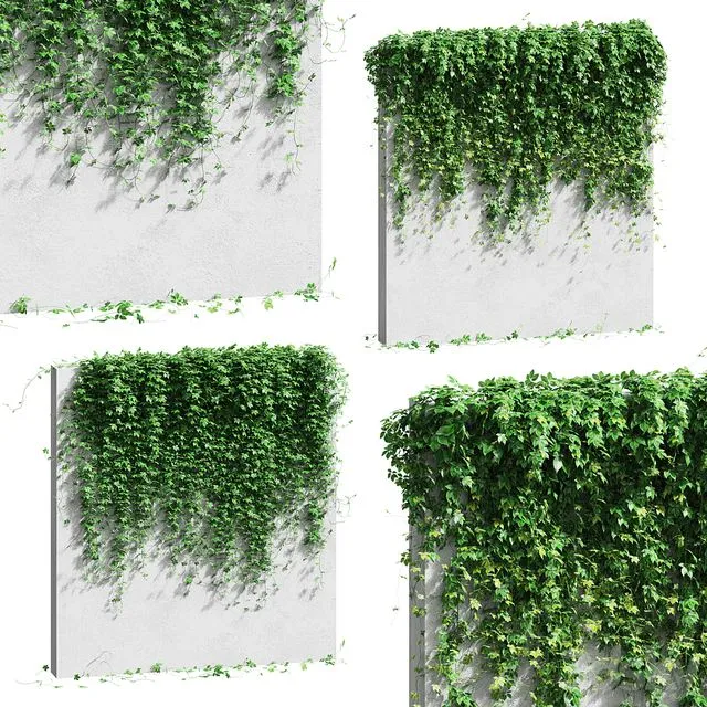 Wall with grape leaves 3D Model Wall with grape leaves 3D Model