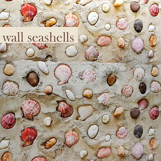 Wall with seashells. 3D Model Wall with seashells. 3D Model