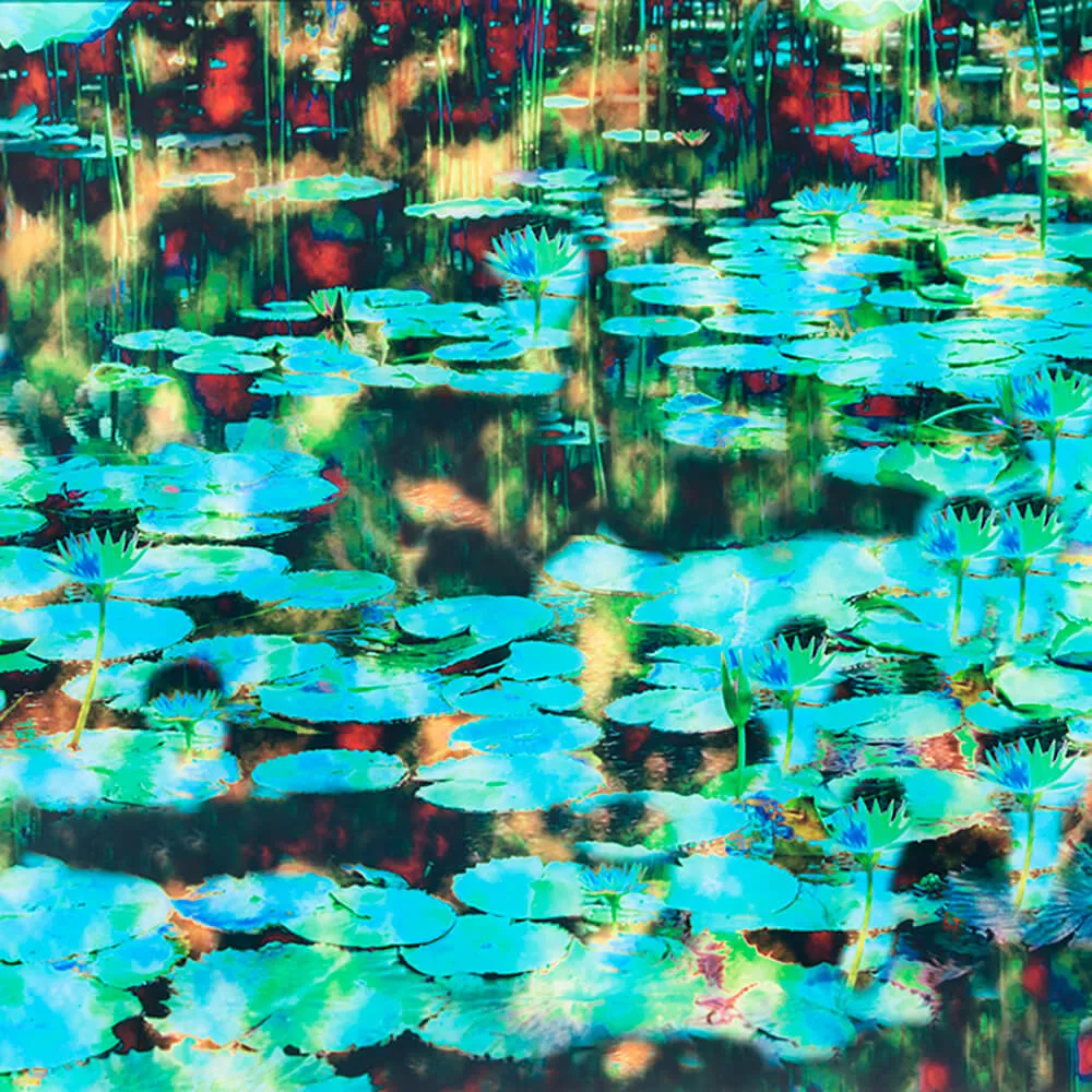 WallPepper – Wallpaper Black Pond 3D Model