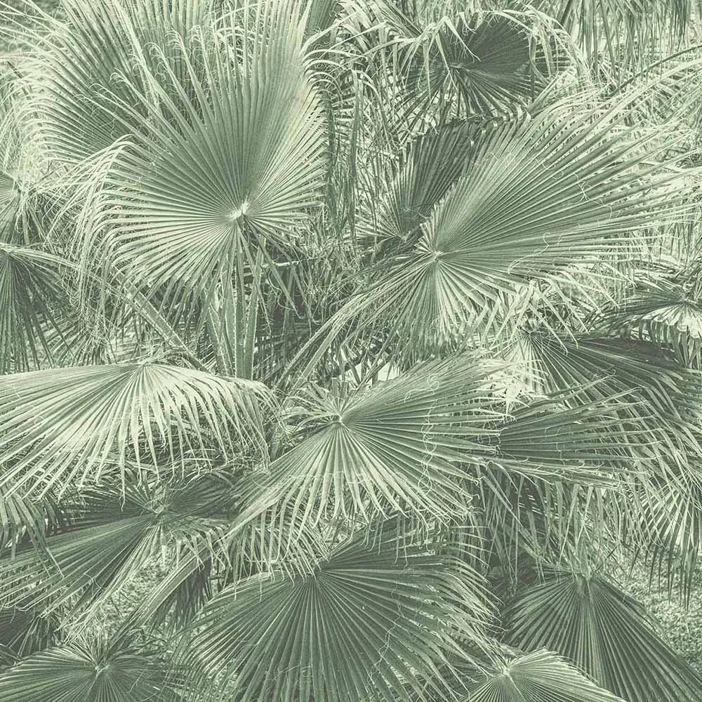 WallPepper – Wallpaper Blow up 3D Model