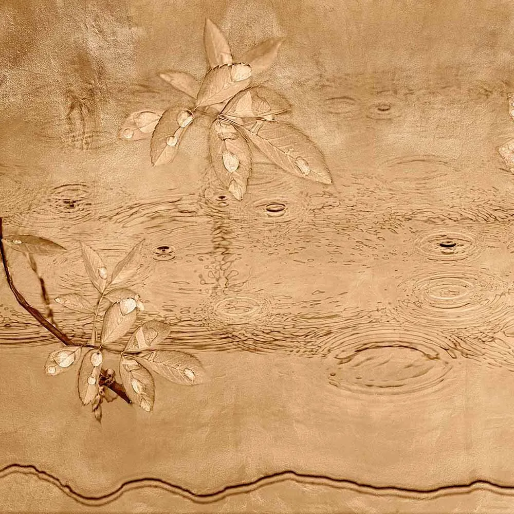 WallPepper – Wallpaper Drops dance 3D Model