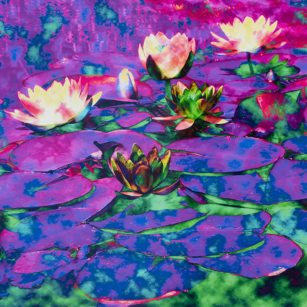 WallPepper – Wallpaper Mind Colours 3D Model