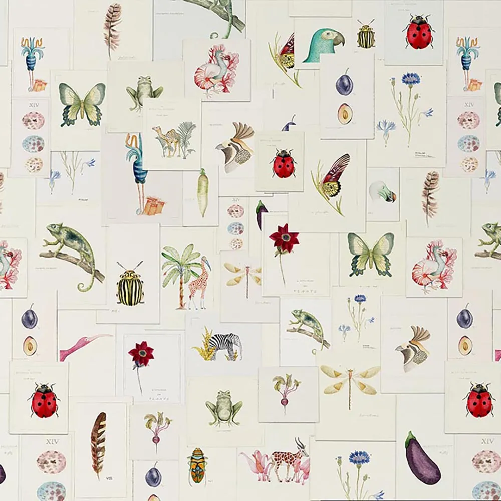 WallPepper – Wallpaper Pictionary 3D Model