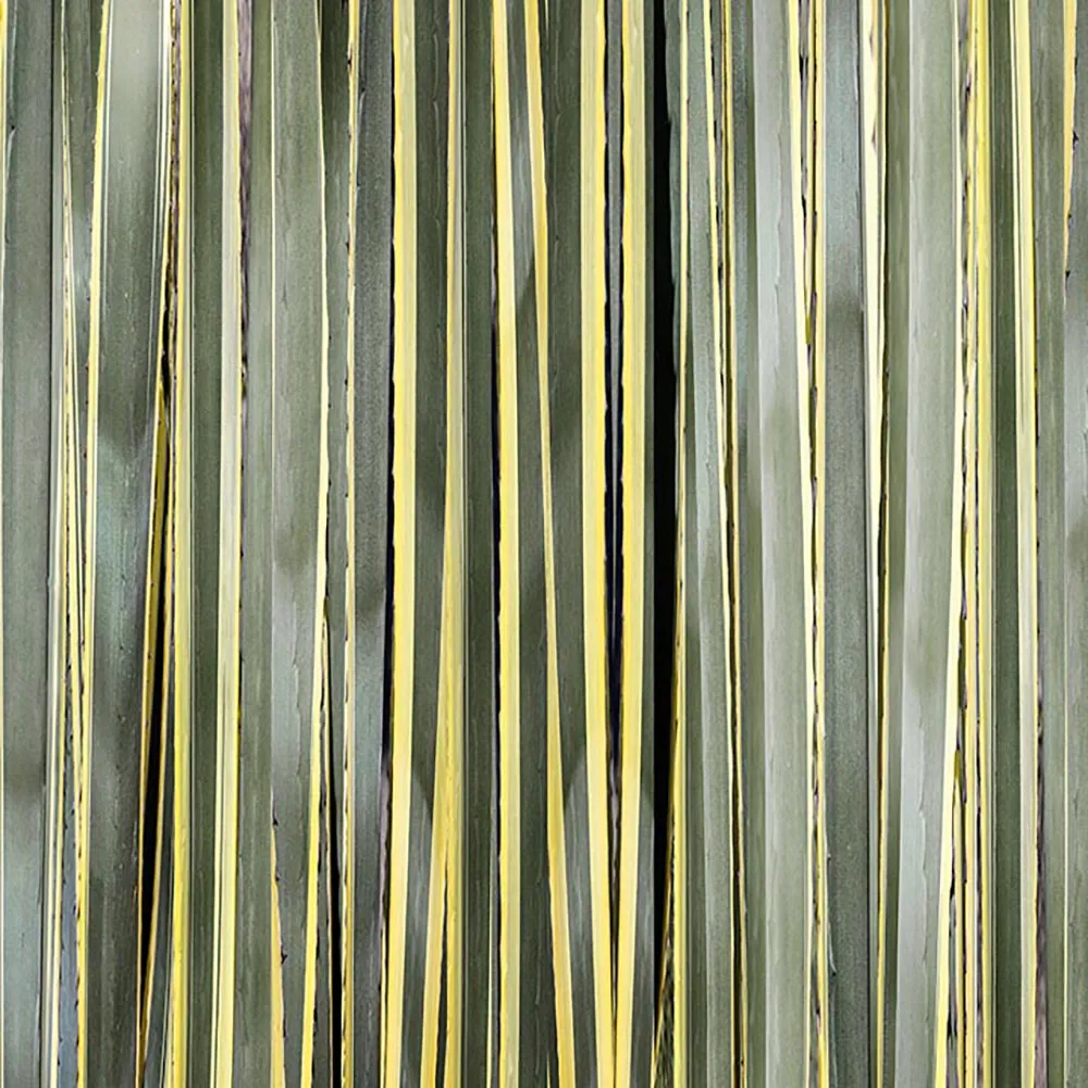 WallPepper – Wallpaper Stripes 3D Model