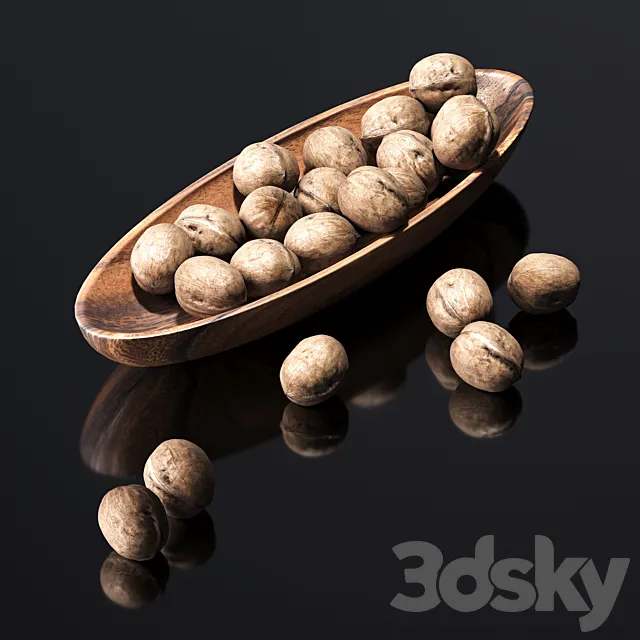 Walnut 3DModel