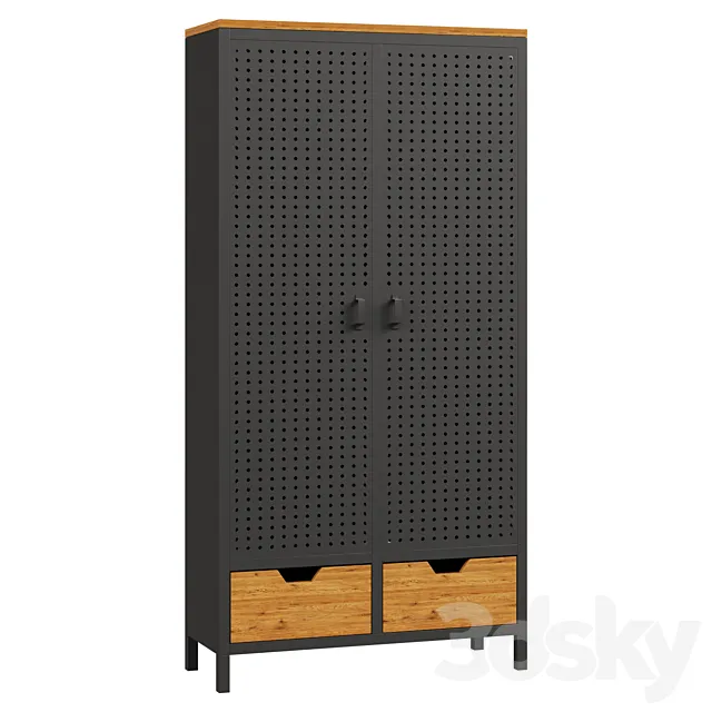 Wardrobe with 2 doors made of metal and oak AGAMA 3D Model