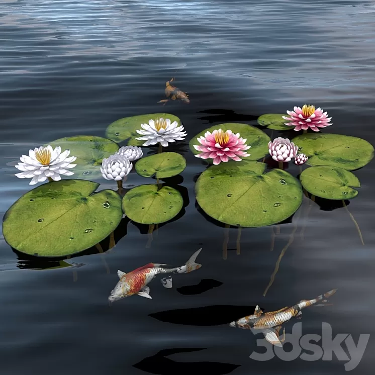 waterlily 2 3D Model waterlily 2 3D Model