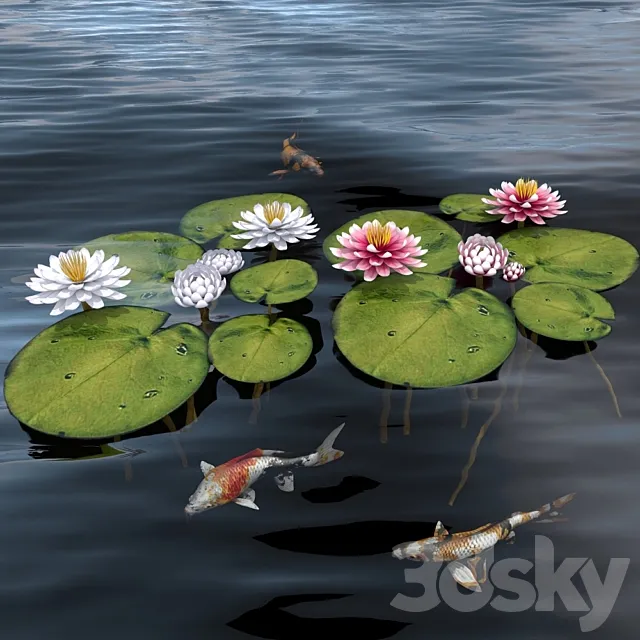 waterlily 2 3DModel waterlily 2 3DModel