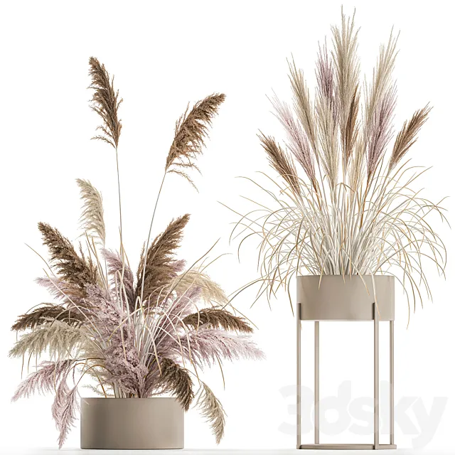 Wedding bouquet composition of pink dried flowers in a vase with Pampas grass Cortaderia veynik. 192. 3D Model Wedding bouquet composition of pink dried flowers in a vase with Pampas grass Cortaderia veynik. 192. 3D Model