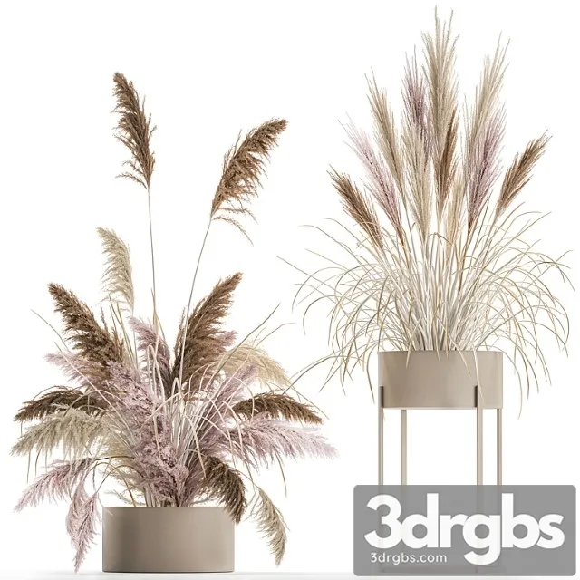 Wedding bouquet composition of pink dried flowers in a vase with pampas grass, cortaderia, veynik. 192. Wedding bouquet composition of pink dried flowers in a vase with pampas grass, cortaderia, veynik. 192.