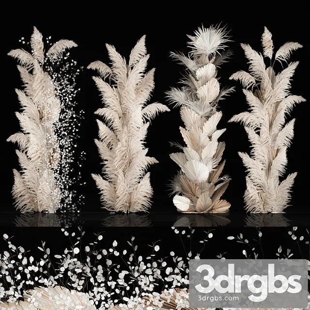 Wedding decorations from columns of dried flowers and pampas grass, cortaderia, moonflower, dry, palm branch. bouquet 289. Wedding decorations from columns of dried flowers and pampas grass, cortaderia, moonflower, dry, palm branch. bouquet 289.
