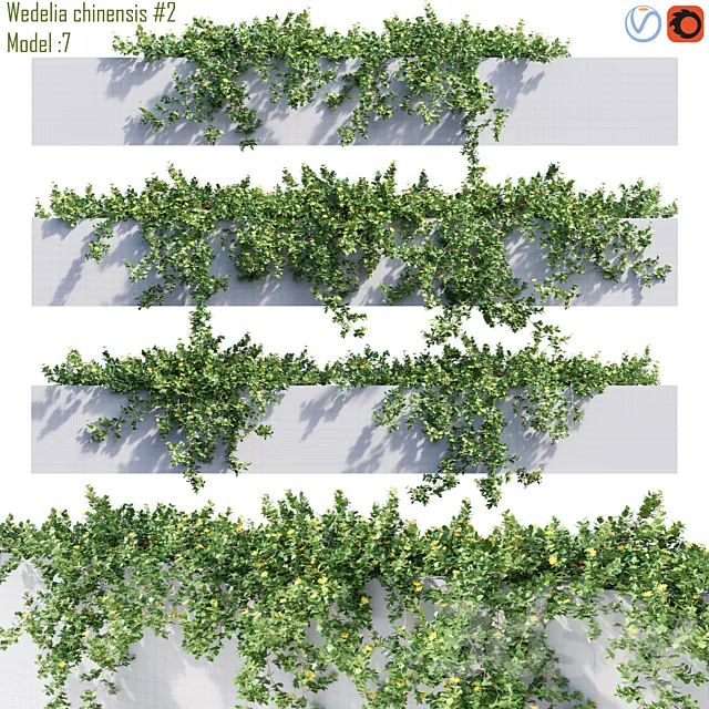 Wedelia chinensis # 2 3D Model Wedelia chinensis # 2 3D Model