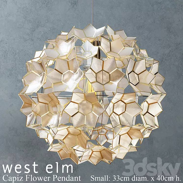 West elm 2024 capiz pendant