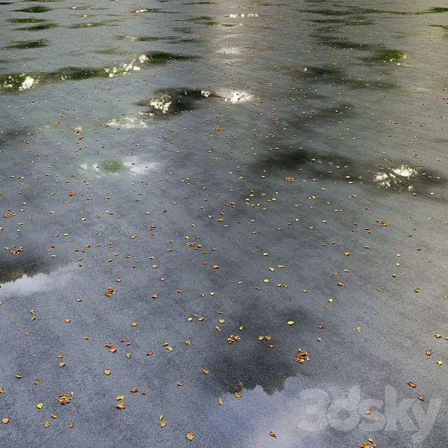Wet asphalt with leaves. Autumn. Editable 3D Model Wet asphalt with leaves. Autumn. Editable 3D Model