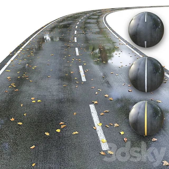 Wet road with markings. Autumn 3D Model