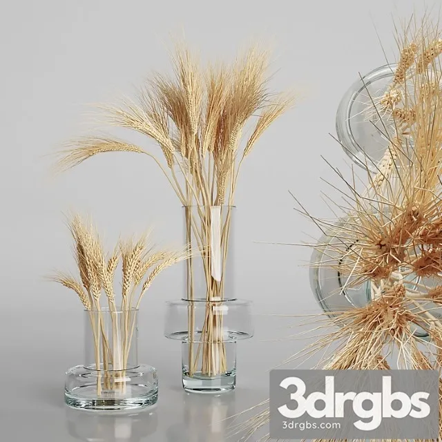 Wheat Bouquets 3D Model Download Wheat Bouquets 3D Model Download