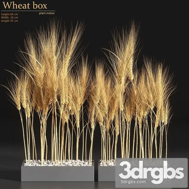 Wheat Box 3D Model Download