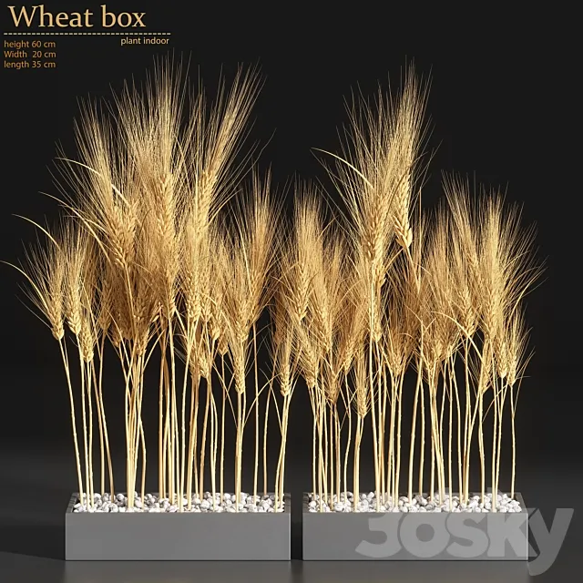 Wheat Box 3DModel