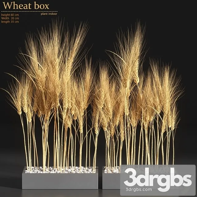 Wheat box Wheat box
